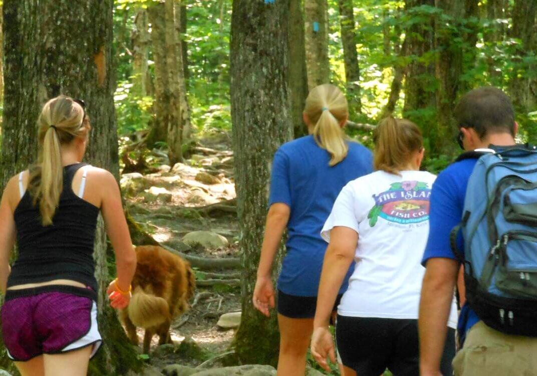 Bald Mountain Hike on Hiking trails in Rangeley Lakes Region of Maine